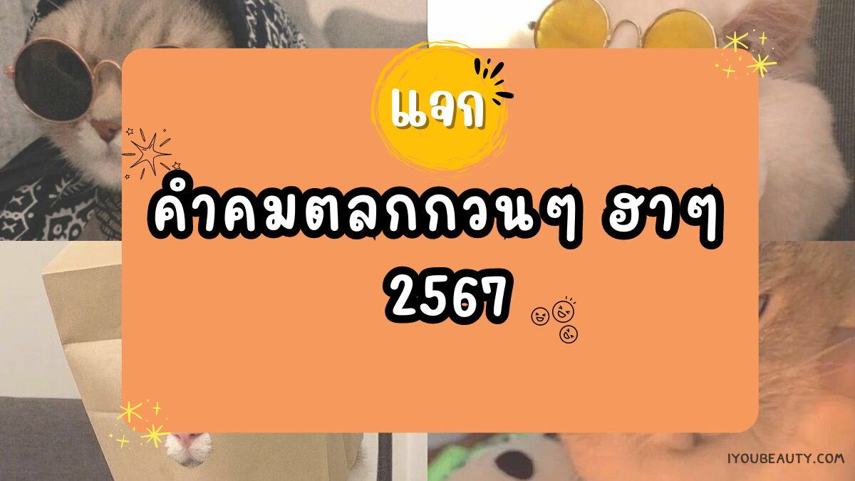 แจก 30 คำคมตลกกวนๆ ฮาๆ 2567 เวลาตลกทำไมชอบเผลอตดตลอด - IYou Beauty